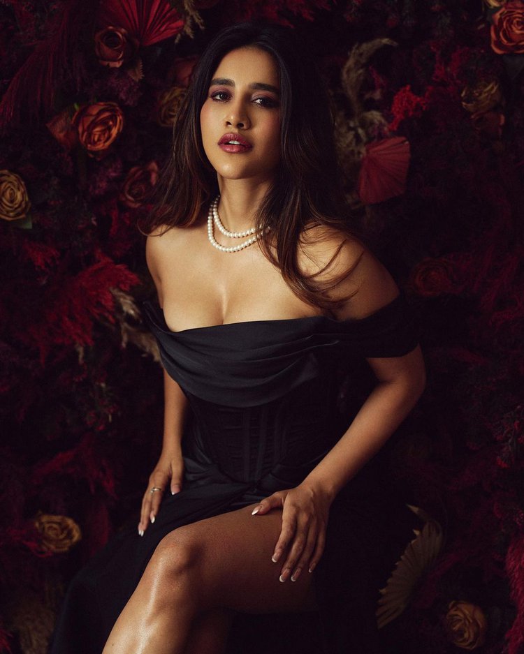 Nabha Natesh Latest Images, Nabha Natesh Latest Beautiful Photos, Nabha Natesh Latest Pics, Latest Telugu Cinema News, Latest News Of Tollywood, Nabha Natesh,