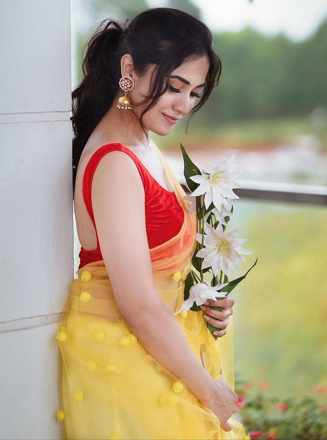 Rachanarai Latest Beautiful Images, Rachanarai Latest Photos, Rachanarai latest hot images, Rachanarai saree images